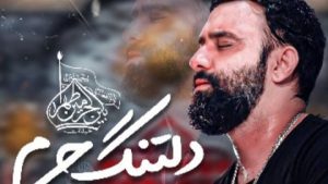 نماهنگ دلتنگ حرم جواد مقدم – خلیجفا شیعه